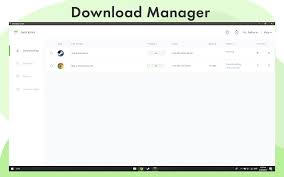 You can download microsoft download manager from microsoft and. Checketry Download Manager