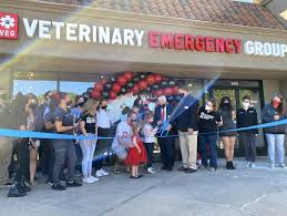Where to take your pet for urgent care in san francisco? New 24 7 Emergency Veterinary Hospital Opens In San Ramon News Danvillesanramon Com