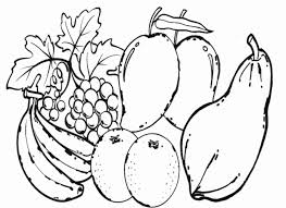 We did not find results for: 20 Sketsa Gambar Buah Buahan Yang Mudah Diwarnai Untuk Anak Paud Tk Sd Kanalmu