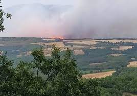 Φωτιά στα γρεβενά (φώτο) on: Ywxcuwzadtihxm