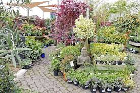 The Boma Garden Centre Kentish Town Cottage Garden Traditional Landscape English Cottage Garden