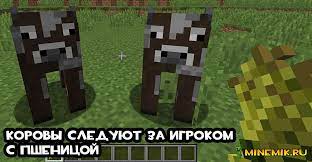 Can you auto breed cows in minecraft? What Cows Eat In Minecraft How To Tame A Cow In Minecraft We Become Farmers Why Do I Need To Breed Animals In Minecraft