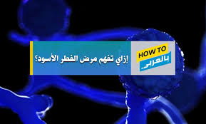مَن أراد أن يخرج زكاة الفطر من البُرِّ أو الزبيب متبعًا مذهبَ الحنفية فيُجزئه كيلوجرام واحدٌ من المقرر في فقه السادة الحنفية أن مقدار زكاة الفطر: Ø§Ù„ÙØ·Ø± Ø§Ù„Ø£Ø³ÙˆØ¯ Ø£Ø¹Ø±Ø§Ø¶Ù‡ ÙˆØ¹Ù„Ø§Ø¬Ù‡ ÙˆØ¹Ù„Ø§Ù‚ØªÙ‡ Ø¨ÙƒÙˆØ±ÙˆÙ†Ø§ How To Arabic