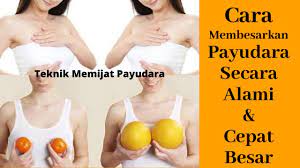Maybe you would like to learn more about one of these? Cara Membesarkan Payudara Secara Alami Dan Cepat Besar Pembesar Payudara Lacoco Bust Fit Youtube