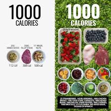 40 Food Charts People Shared Online That May Change The Way You View Some Foods In 2020 Health Food Calorie Dense Foods Food