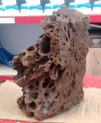Aquascpe sendiri merupakan akuarium yang telah di hias sedemikian rupa menggunakan bahan batu serta tanaman air. Jual Batu Aquascape Garang Eragon Stone 1kg 1 Kg Hardscape Hiasan Aquarium Makassar Hobi