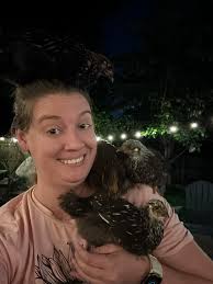 Do chickens like sitting