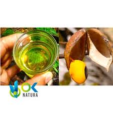 Image result for Copaifera