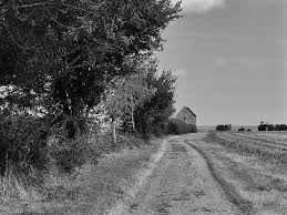 David Wanzer (@decaper.bsky.social) — Bluesky