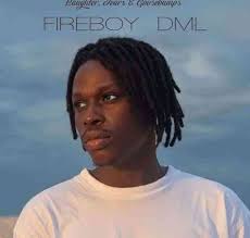 Download Fireboy Dml Like I Do South African Music In 2020 Goosebumps Latest Music Music Download