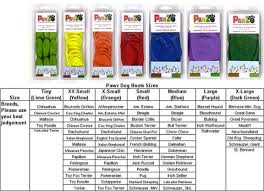 pawz dog boots assorted original colors