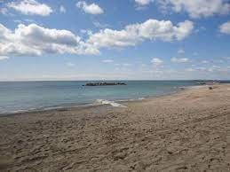 Woodbine beach toronto, canada, drone aerial view from 20 meters high, tourist places woodbine beach lake ontario canada 4k video woodbine beach is one of toronto's most popular. Woodbine Beach Bild Von Woodbine Park Toronto Tripadvisor