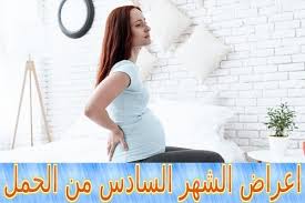 Pin On الحمل