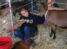 Solano County Fair 'kicks off' summer in Vallejo