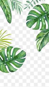  Leaves Png Images Vector And Psd Files Free Download On Pngtree Leaves Png Watercolor Leaves Leaf Clipart