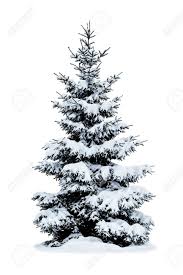 Check spelling or type a new query. Winter Christmas Tree Covered With Snow Isolated On White Background Stock Photo Picture And Royalty Free Image Image 68047252