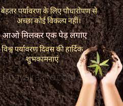 प्रधानमंत्री ने अपने संदेश में कहा, सशस्त्र बल झंडा दिवस पर राज का जन्मदिन महाराष्ट्र के भूमि पुत्र दिवस के रूप में मनाया जाता है और राज इस उपाधि पर गर्व महसूस करते हैं। à¤µ à¤¶ à¤µ à¤ªà¤° à¤¯ à¤µà¤°à¤£ à¤¦ à¤µà¤¸ à¤• à¤¹ à¤° à¤¦ à¤• à¤¶ à¤­à¤• à¤®à¤¨ à¤ à¤à¤µ à¤¬à¤§ à¤ˆ World Environment Day Wishes In Hindi