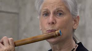 Lion King roars at DC's Kennedy Center, one musician plays 13 flutes  throughout the show