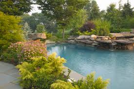 Natural Swimming Pool Design