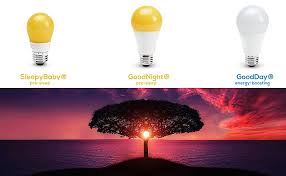 Amazon Com Asencia A19 Sleep Enhancing Blue Blocking Led Light Bulb 2 Pack Goodnight Pre Sleep Home Kitchen