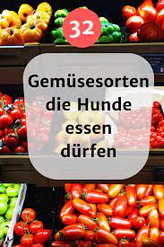 was durfen hunde essen ausser hundefutter mit liste aller lebensmittel hunde ernahrung hund essen hundefutter