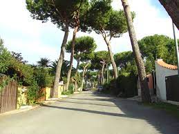 L'omicidio ad ardea (roma), nel consorzio di via colle romito. Colle Romito