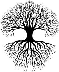 Tree with roots svg bundle, tree roots svg, clipart, cut files for silhouette, files for cricut, vector, tree svg, roots svg, dxf, png. 71 Dateien Svg Baume Vektor Dateien Dateien Fur Lasergravur Baum Dxf Wurzeln Svg Stammbaum Baum Mi Tree Of Life Tattoo Roots Drawing Tree Of Life Artwork