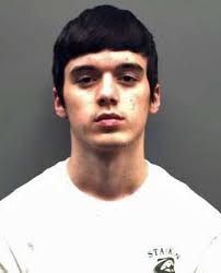 Multiple arrests made in crime spree that caused millions in damages