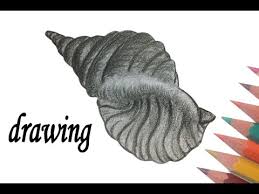 How to draw a sea shell. How To Draw Sea Shells Seashell Drawing Step By Step Youtube