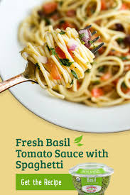 This Simple Dinner Recipe Of Fresh Basil Tomato Sauce With Spaghetti Is Bursting With Flavor Thanks To Garlic Stir In Paste Tasty Pasta Healthy Recipes Recipes