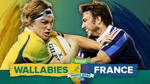 Deux wallabies fugueurs recueillis par planète sauvage. Doubts Creep In Over Wallabies V France Test Series Australia Rugby365