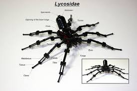 Lego Critters Insect Collection Lego Wolf Spider