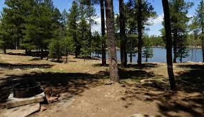 Spillway Campground Spillway Group Woods Canyon Lake Camp Arizona