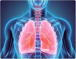 Among the many pathways, these few ones have gauged particular interests from scientists studying chronic obstructive airway disease, and have been. Chronic Obstructive Pulmonary Disease Treatment