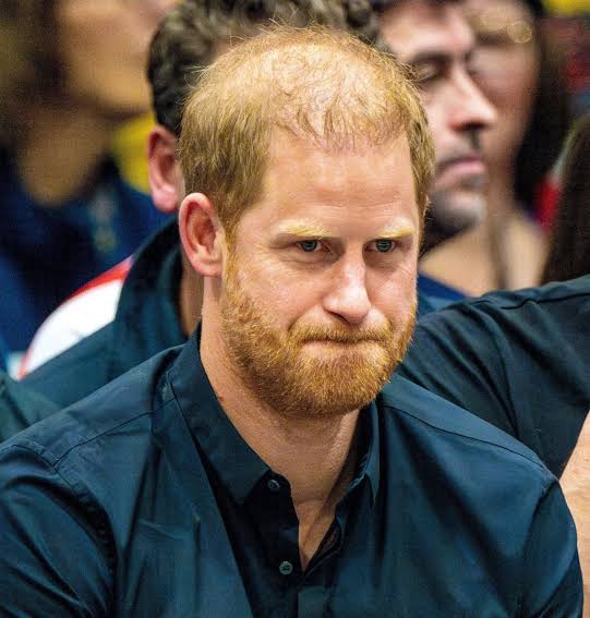 Prince Harry's Royal Comeback Dreams Shut Down Once Again