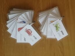 Find, make, and study flashcards online or in our mobile app. Pin By Milani Costello On Kiddy Learning Corner Make Flash Cards Childrens Activities Kids Entertainment