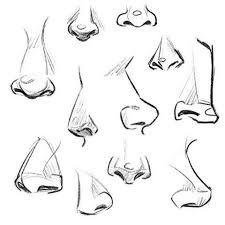 Using all i've learnt from the tutorials and adding something extra from. From When I Was Drawing Many Parts Of The Human Body Nose Drawing Drawing Reference Art Tutorials