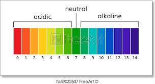 Free Art Print Of Chart Ph Alkaline And Acidic Scale Vector