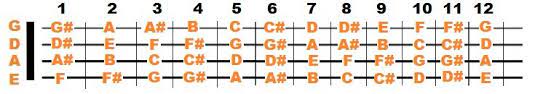 There are also a few additional tips and tricks i wanted to mention regarding learning the notes on the guitar fretboard. Bass Guitar Notes Simplified The Fretboard In 5 Steps Stringvibe