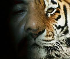 We did not find results for: Manusia Harimau Steemit