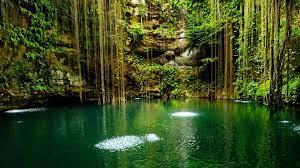 Check spelling or type a new query. Beautiful Nature Wallpapers 73 Background Pictures