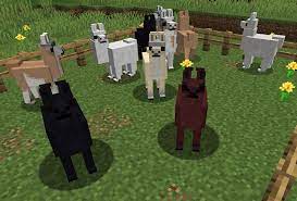 Maybe you would like to learn more about one of these? Genetic Animals Mods Minecraft Curseforge