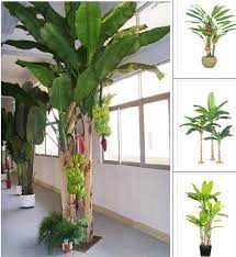 Hot sale artificial banana tree for home decoration plastic traveller's palm tree for shipping mall supermarket sale. China Iso9001 Look Real Artificial Banana Tree For Decoration 165cm China Bonsai And Artificial Tree Price