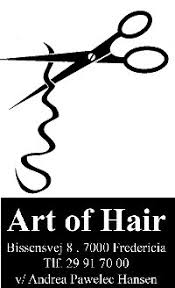 Art of Hair Fredericia