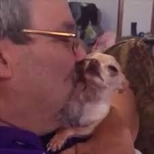 @buitengebieden's video Tweet