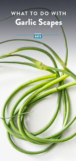 Pin On Foods