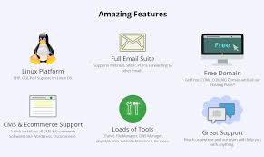 Domainking Review 2021 Why You Need To Give It A Try