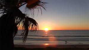 Maybe you would like to learn more about one of these? Pacific Beach California Sunset 1 Hour Palm Tree View 4k 12 19 2016 Youtube