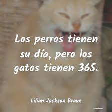 We did not find results for: Los Perros Tienen Su Dia Pero Los Gato