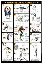 Pin On Body Building